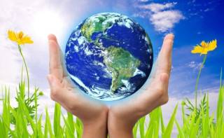 Здорові рослини -  це життя планети!