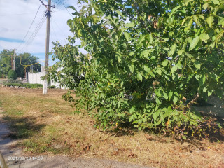 Благоустрій – щоденна справа кожного жителя громади