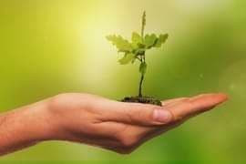 Запрошуємо всіх до участі в акції ПОСАДИ ДЕРЕВО