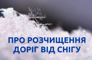 Великодальницькою сільською радою докладаються зусилля щодо подолання сильної негоди.  Роботи розпочалися відразу після заметілі