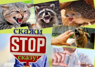 Пам'ятка для населення  Що необхідно знати про сказ.